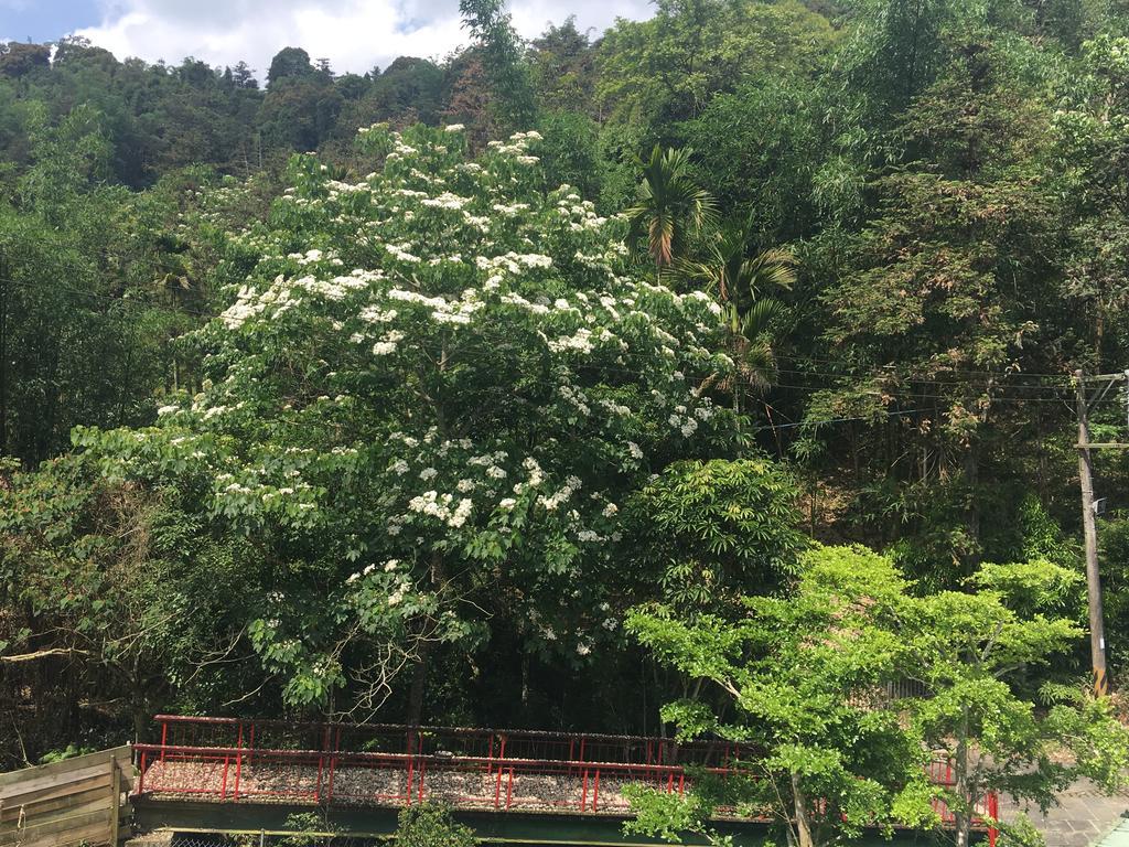 شقة منتجع دينداي تشيري بلوسوم Nantou المظهر الخارجي الصورة